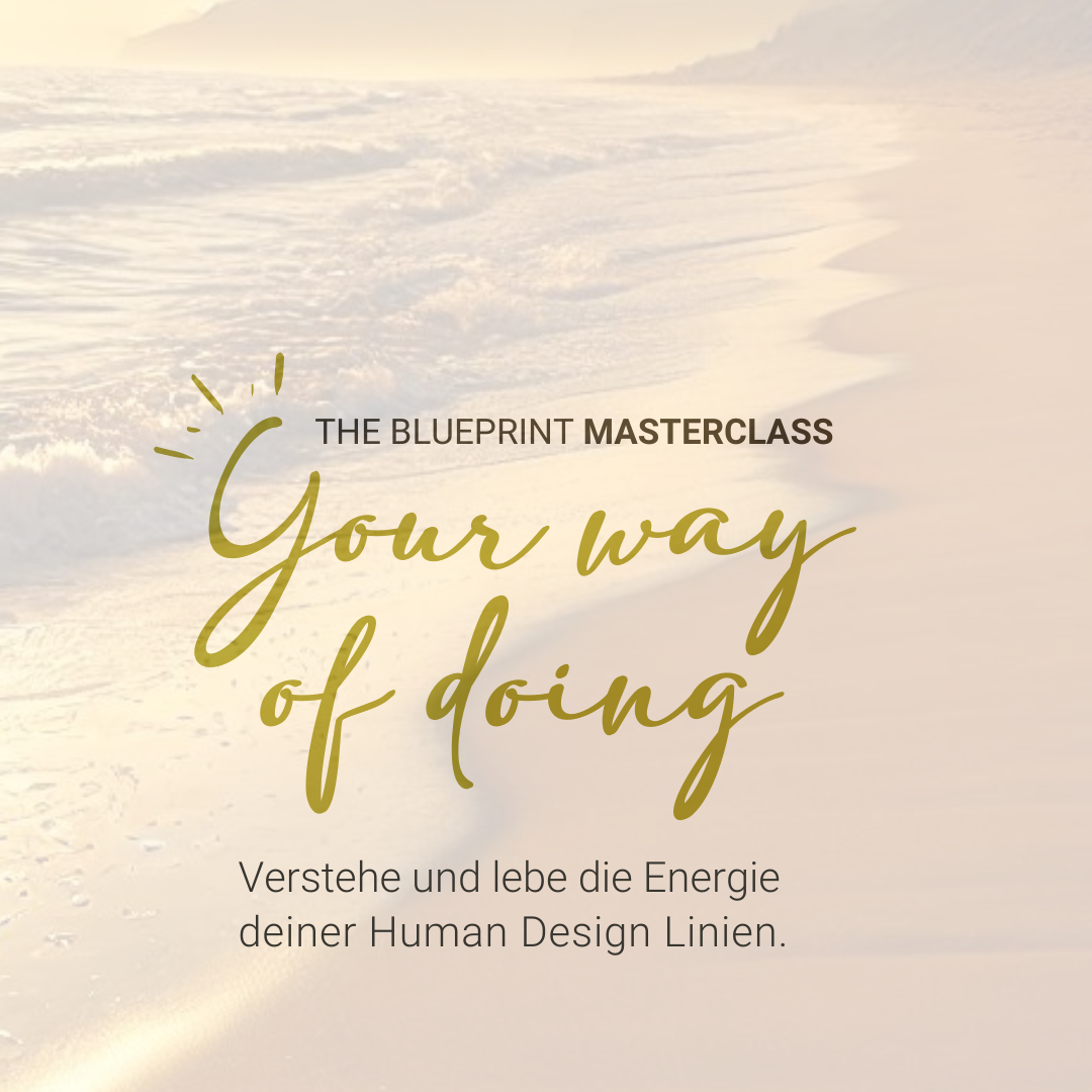 LINIEN - PROFILE - MASTERCLASS
